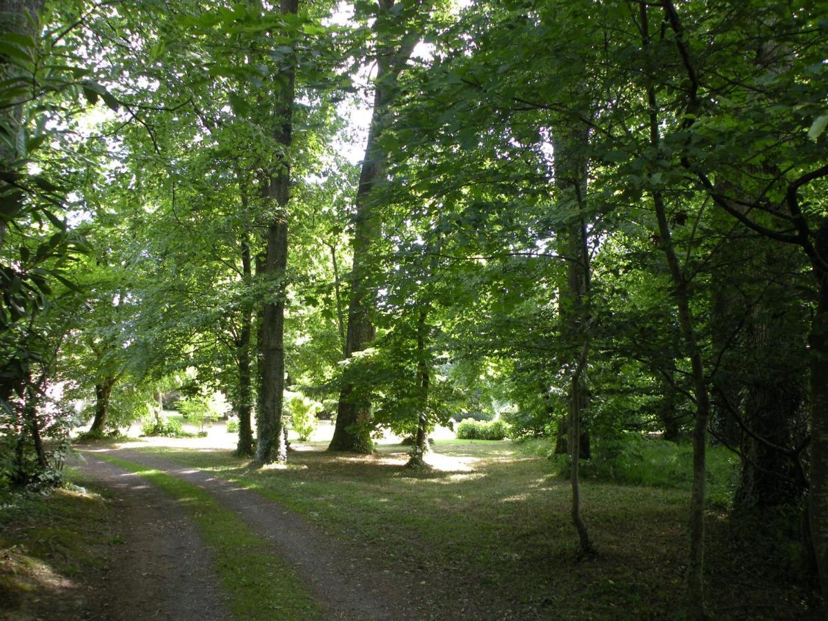 Les Talvasieres Le Mans Exteriör bild