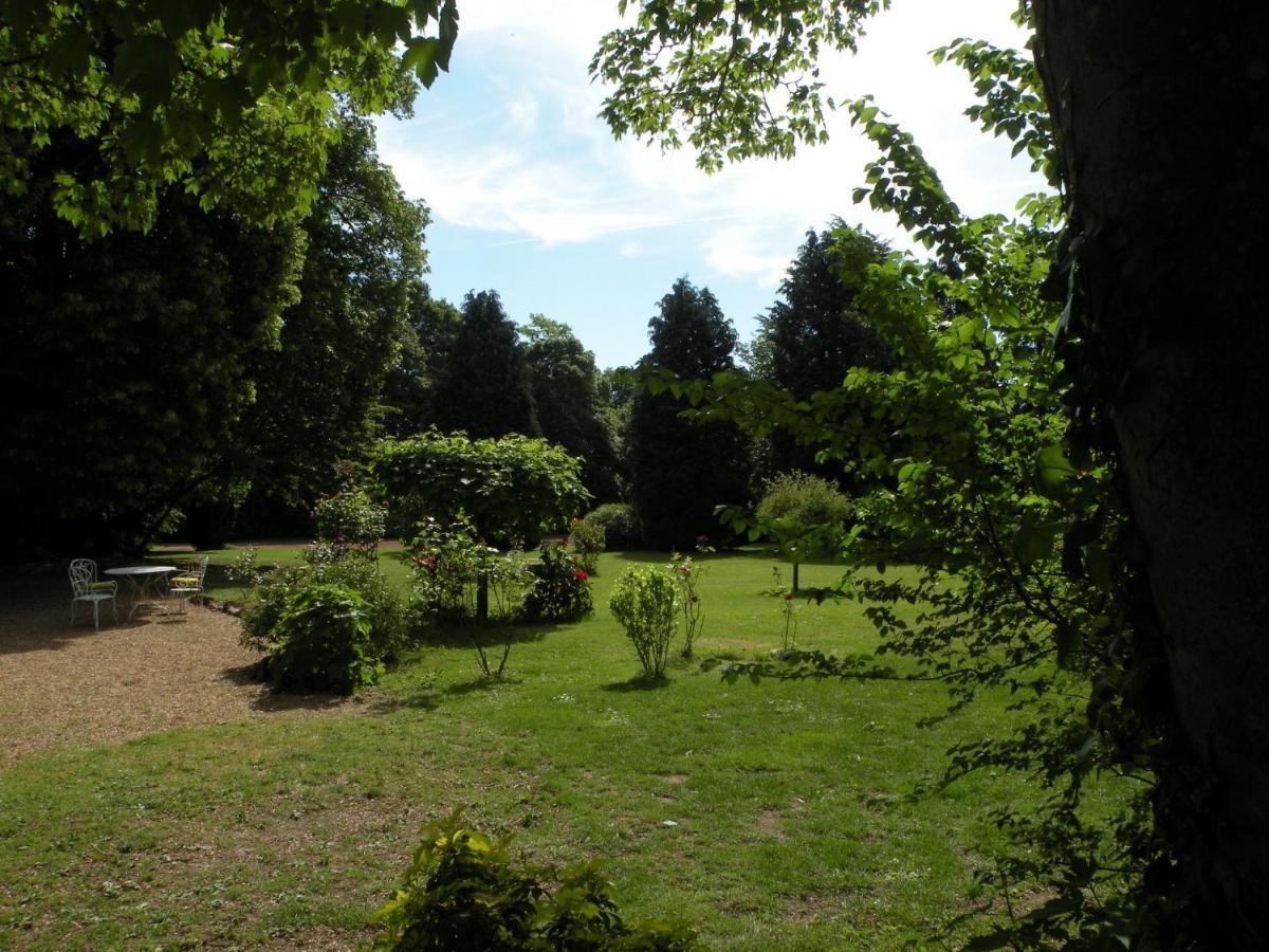 Les Talvasieres Le Mans Exteriör bild